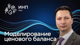 Видео: “Моделирование ценового баланса отраслей с учетом роли промежуточного производителя в условиях «закрытой» экономики”